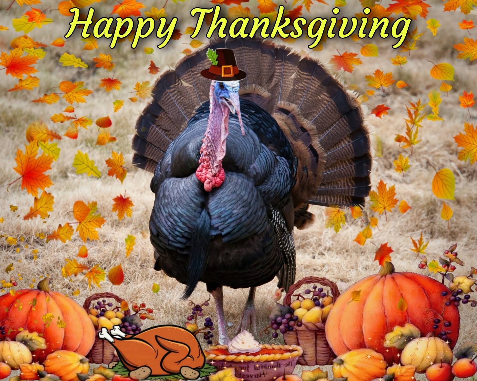 Happy Thanksgiving 2021 Free Images