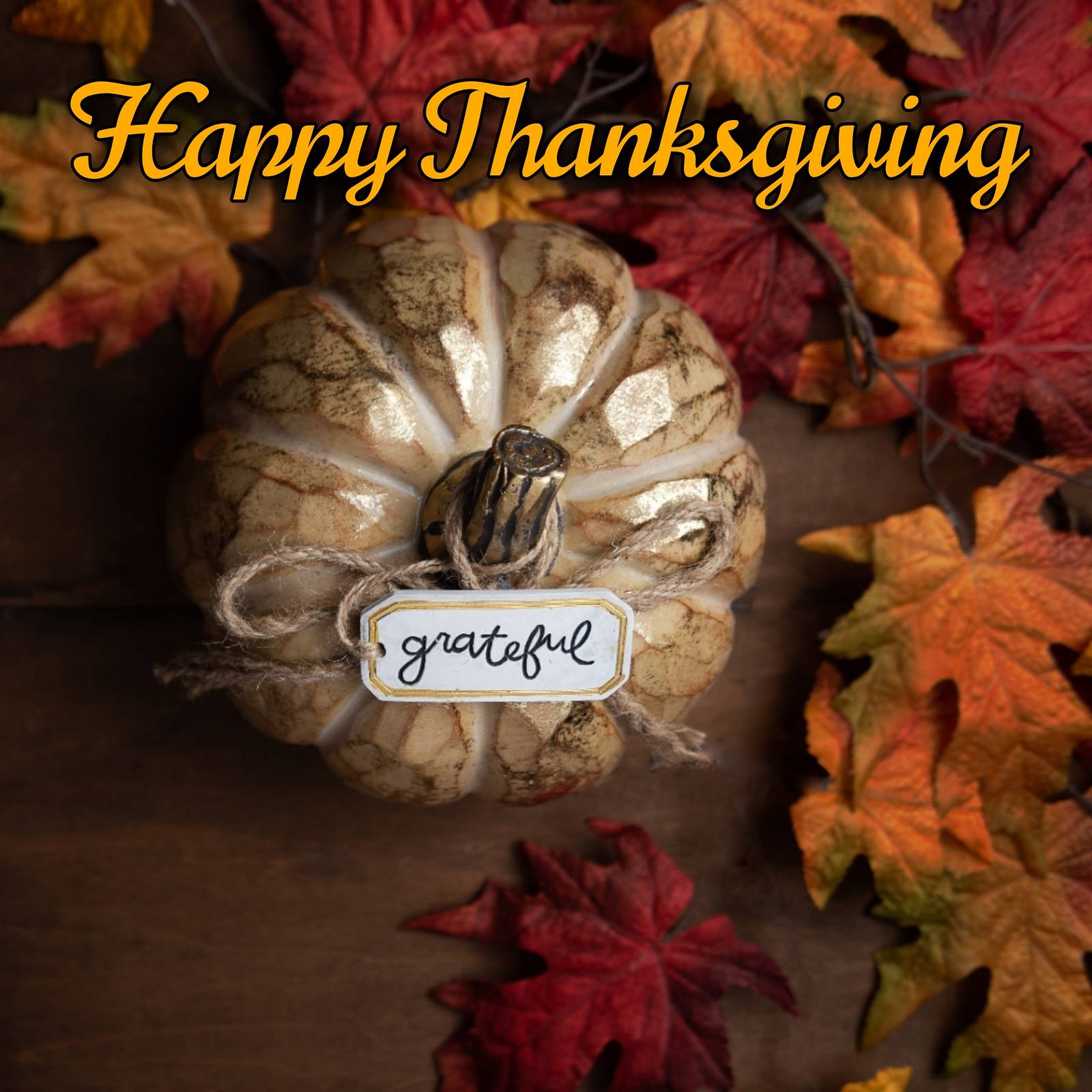 Happy Thanksgiving Grateful Images