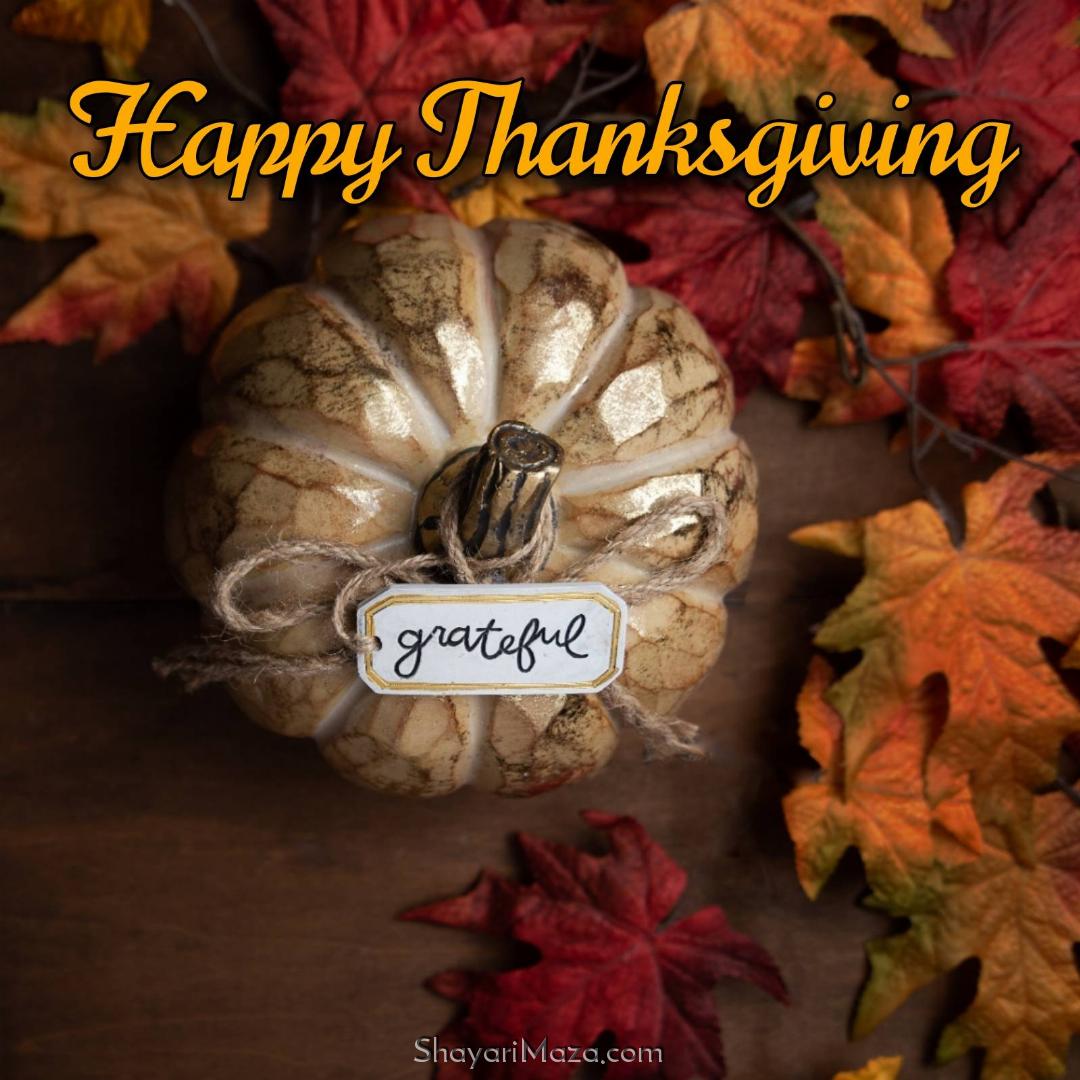 Happy Thanksgiving Grateful Images