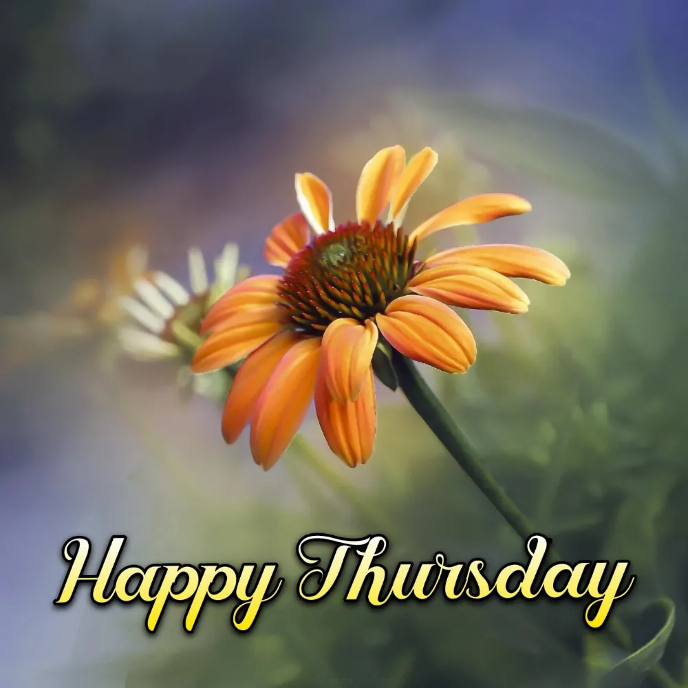 Happy Thursday 2022 Images HD Download