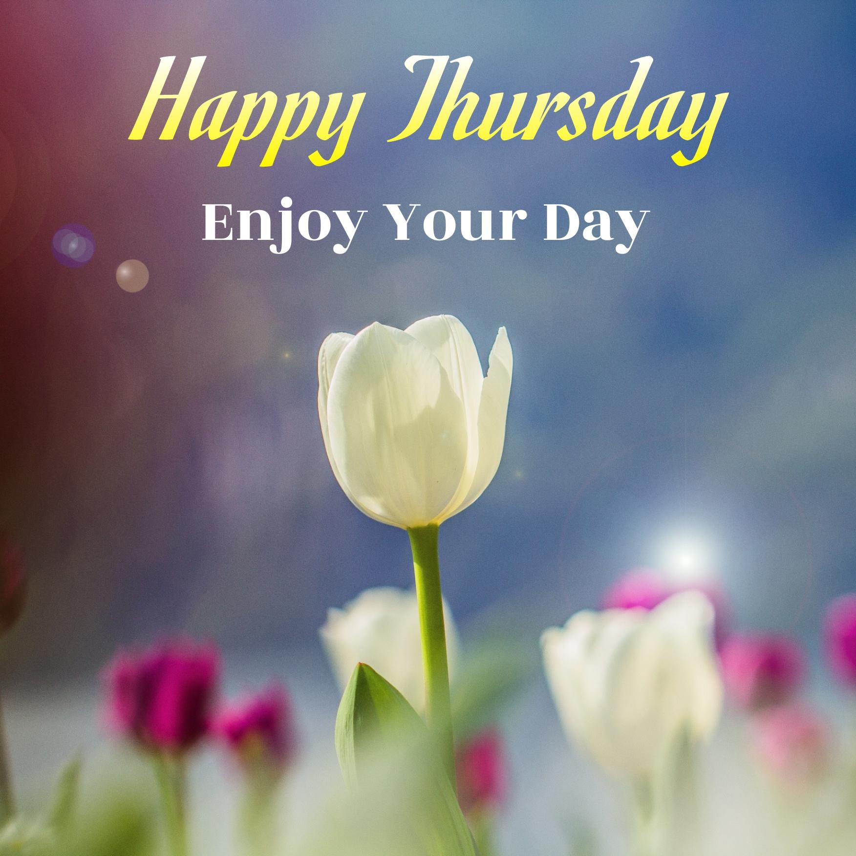 Happy Thursday Enjoy Your Day Images