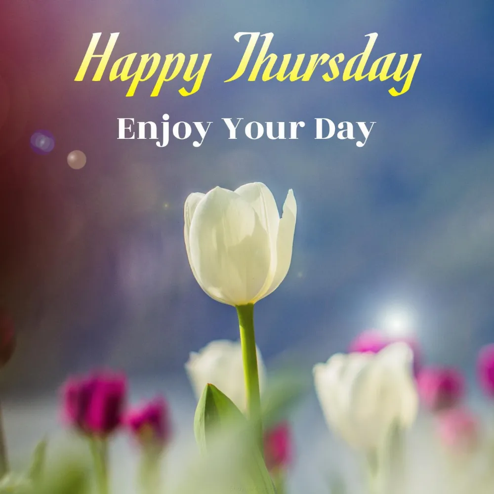 Happy Thursday Enjoy Your Day Images