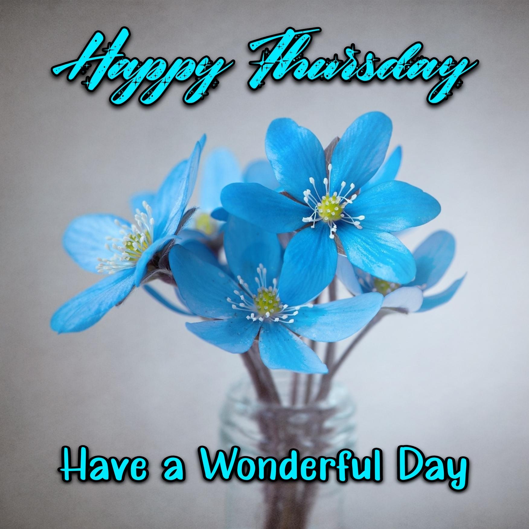 Happy Thursday Have A Wonderful Day Images