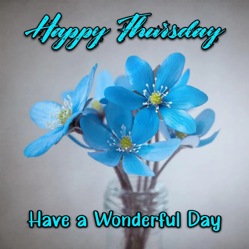 Happy Thursday Have A Wonderful Day Images