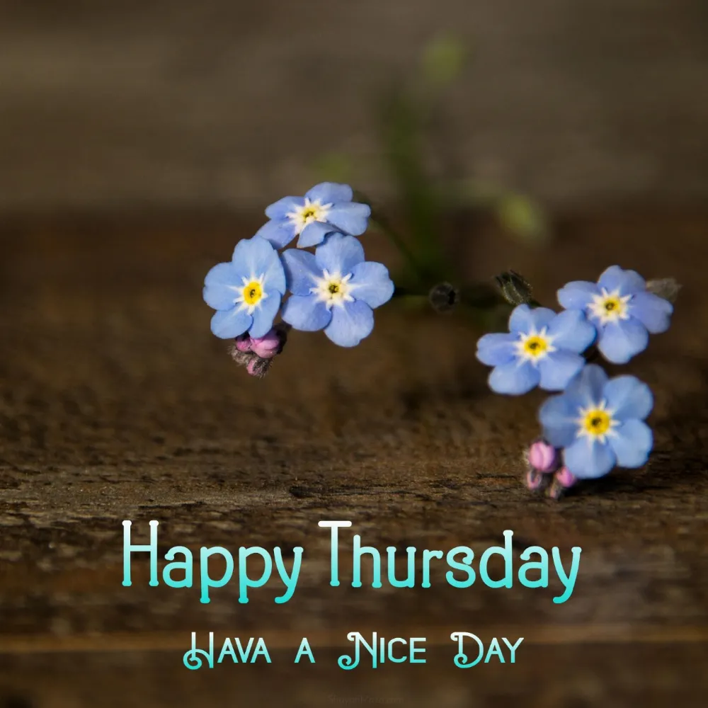 Happy Thursday Have a Nice Day Images