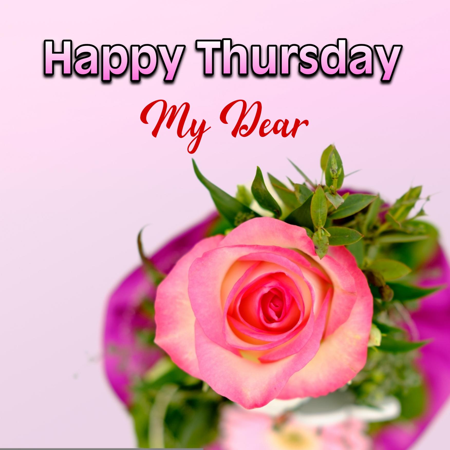 Happy Thursday My Dear Images