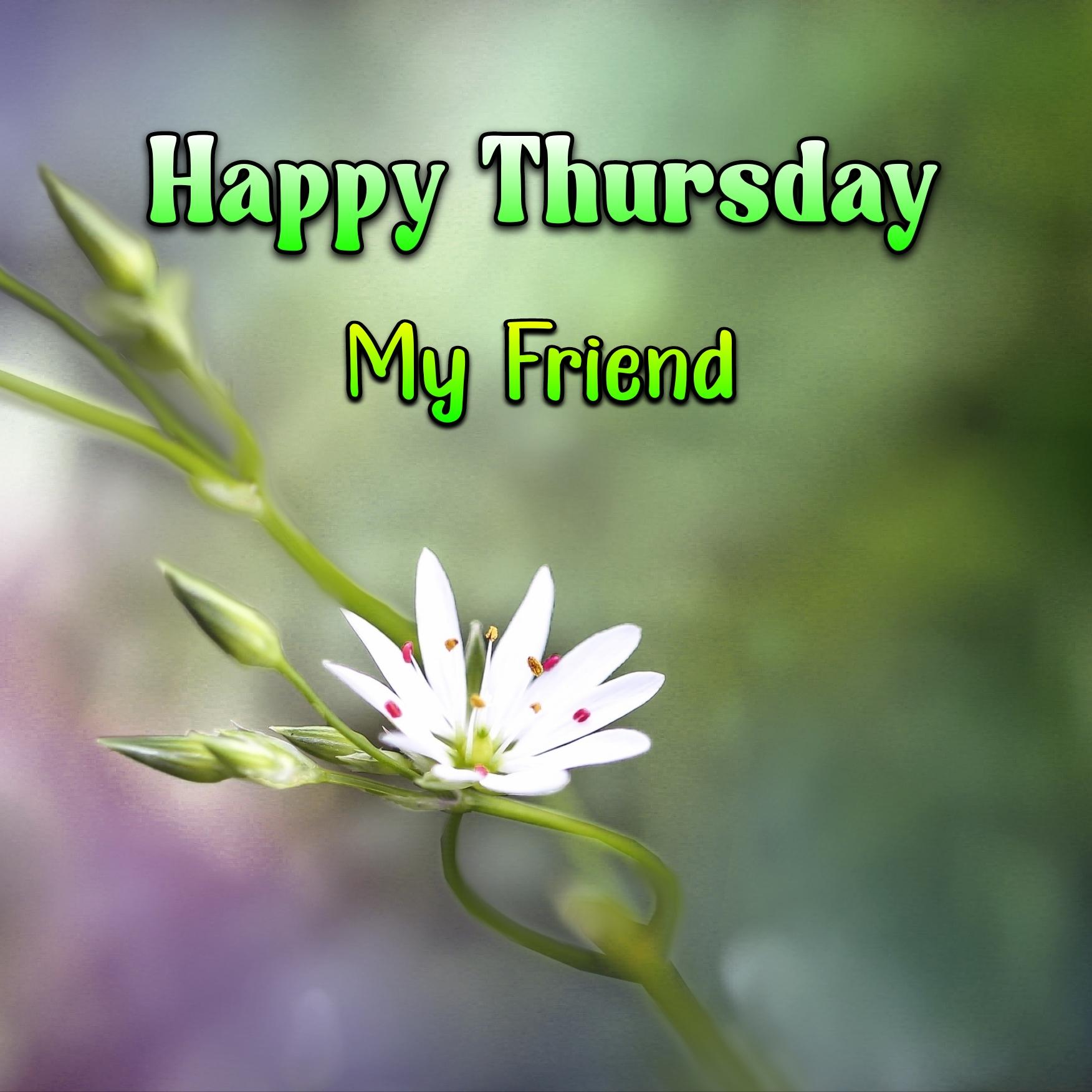 Happy Thursday My Friend Images