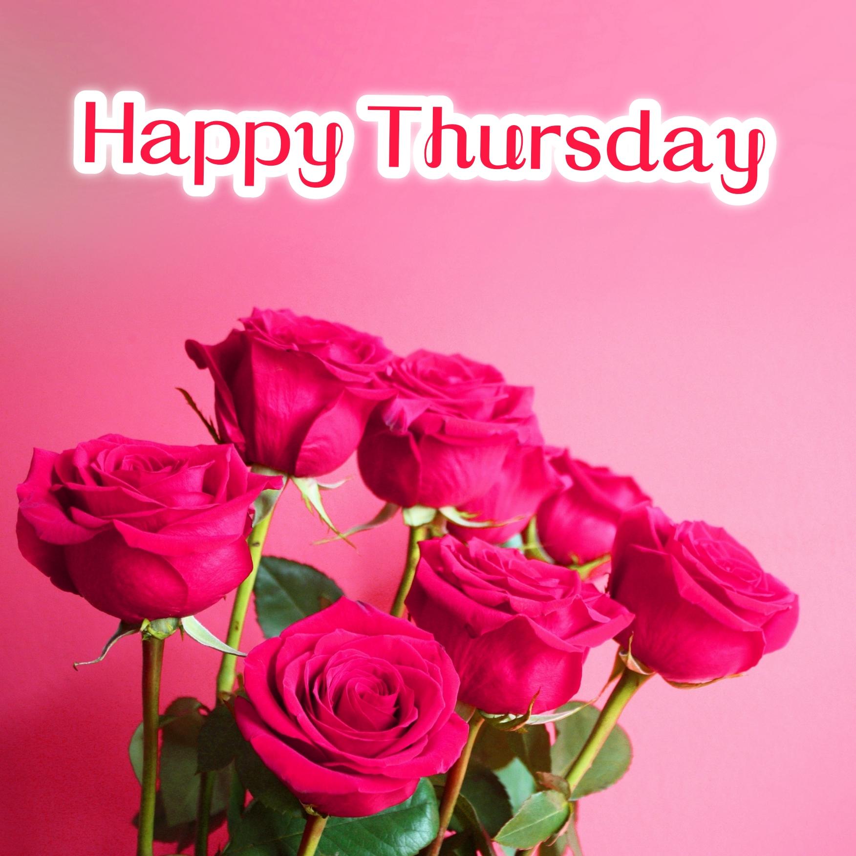Happy Thursday Rose Images