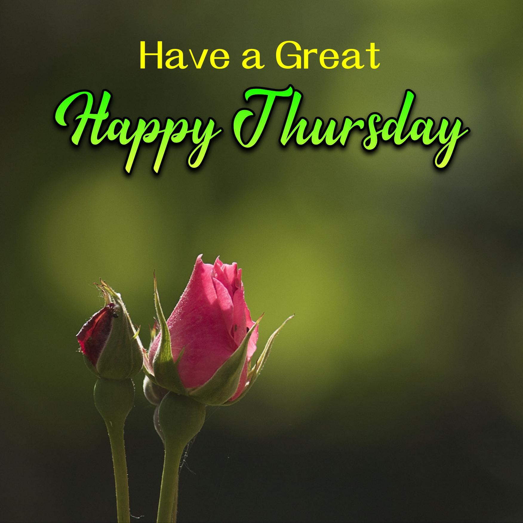 Have a Great Happy Thursday Images