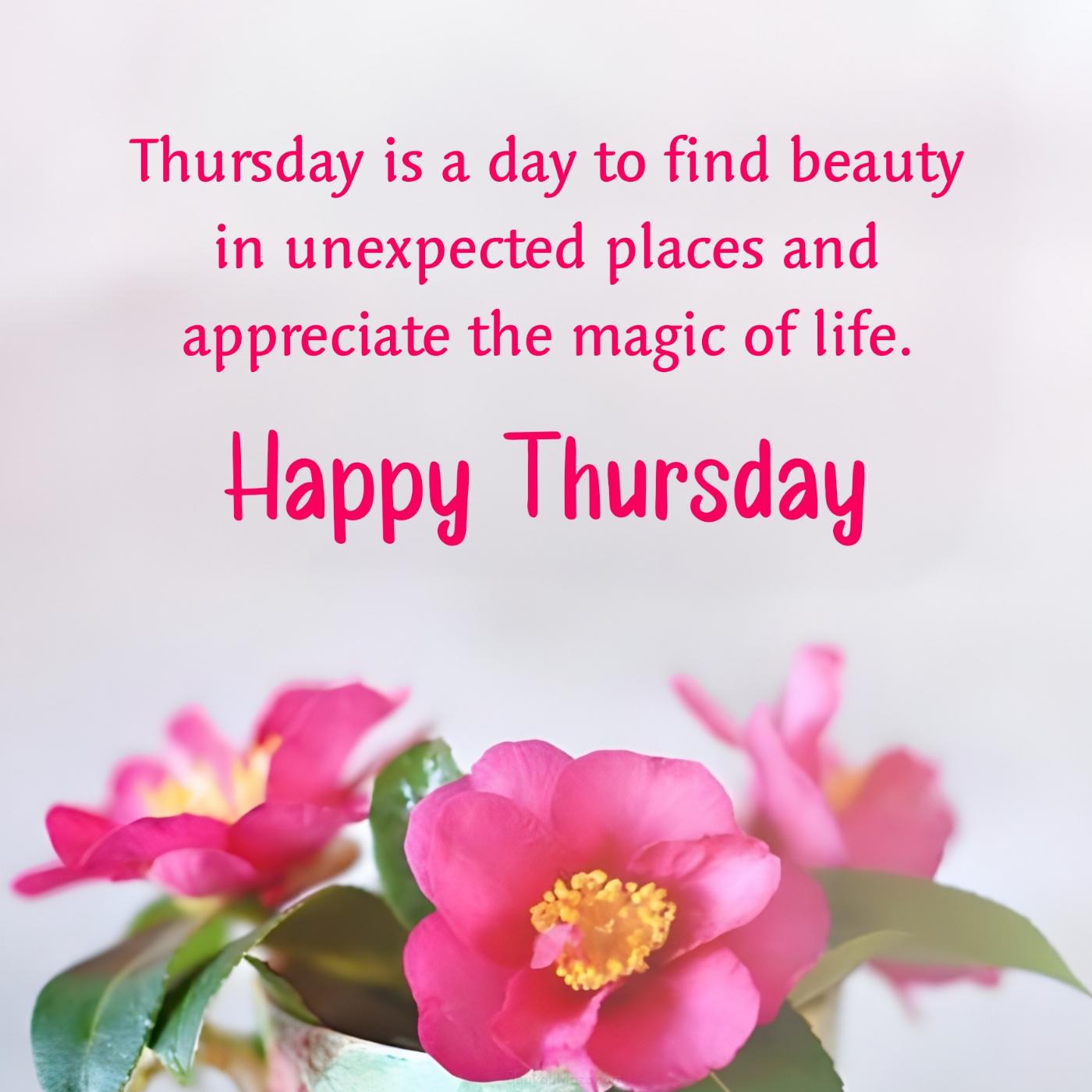 Thursday is a day to find beauty in unexpected places
