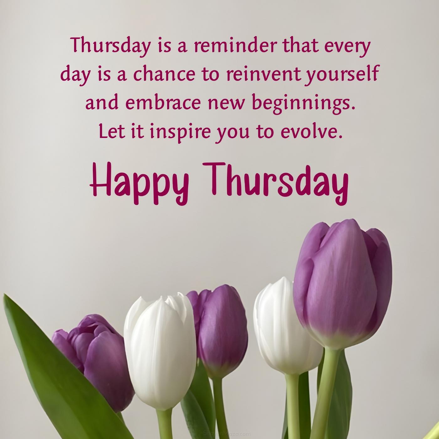 Thursday is a reminder that every day is a chance to reinvent yourself