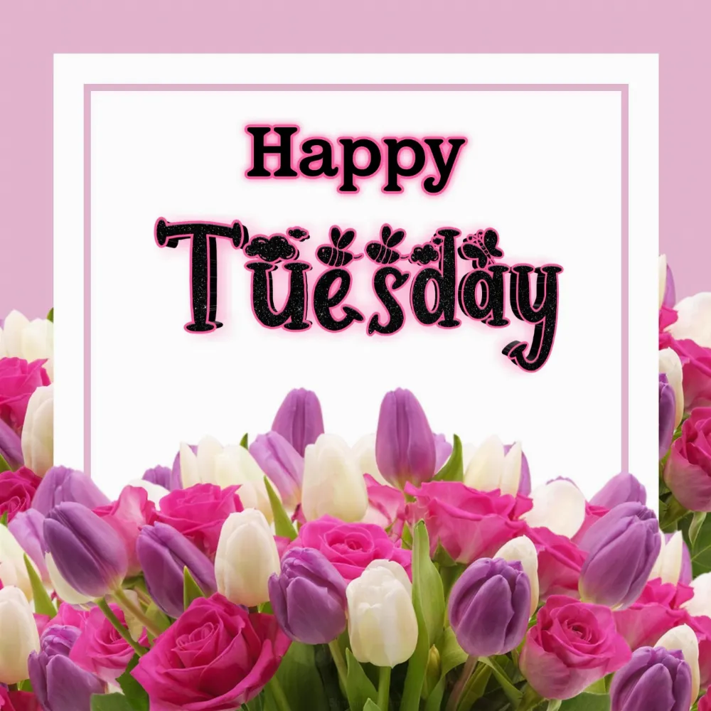 Beautiful Happy Tuesday Images