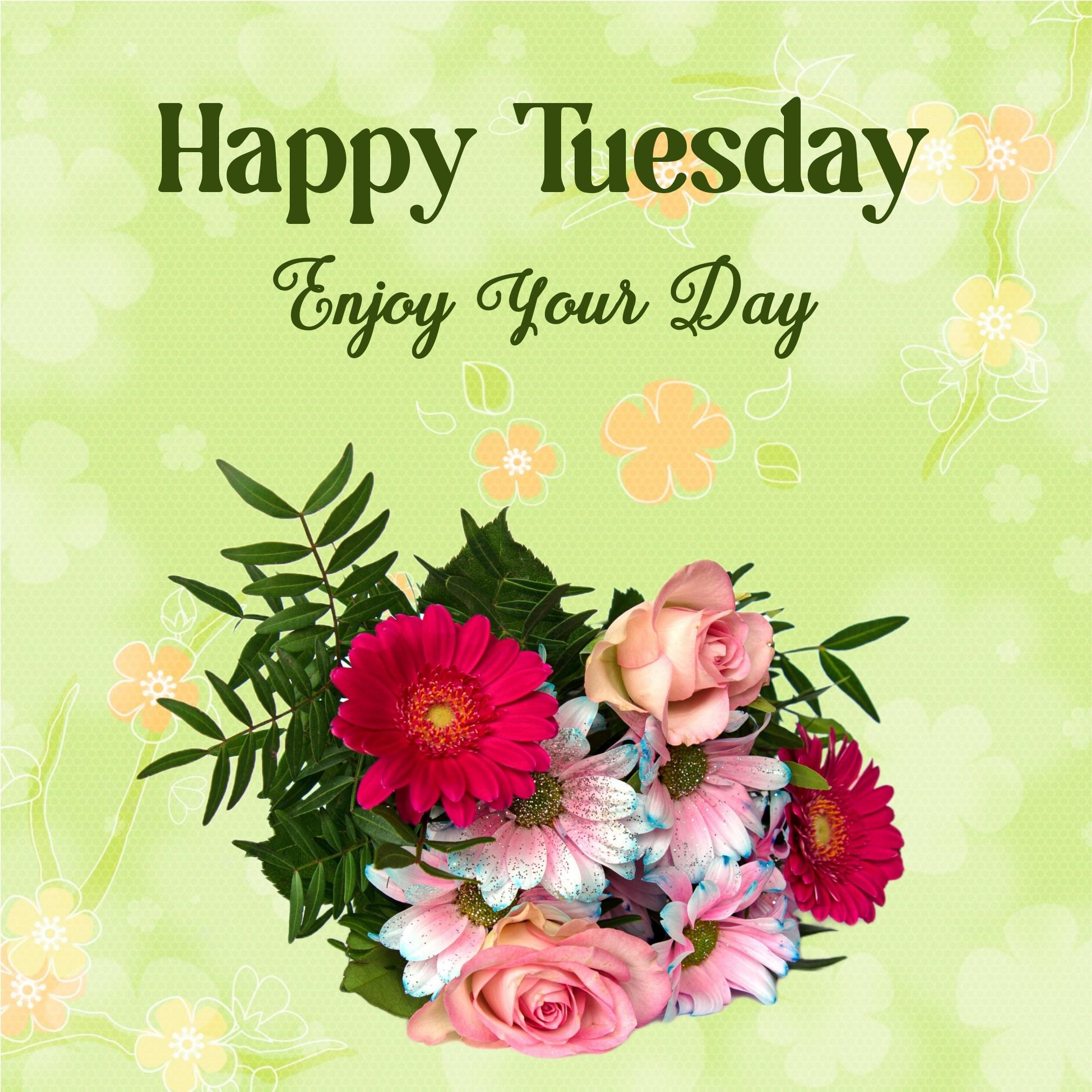 Happy Tuesday Enjoy You Day Images