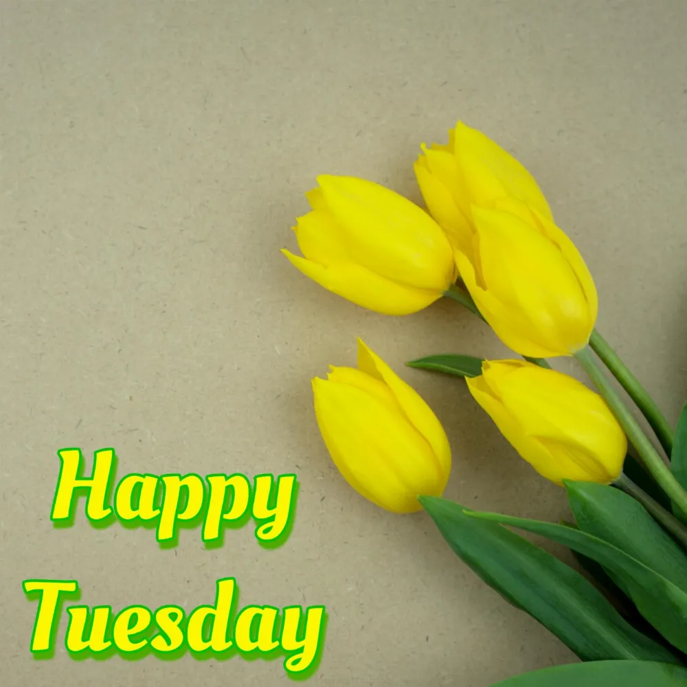 Happy Tuesday Flowers Images