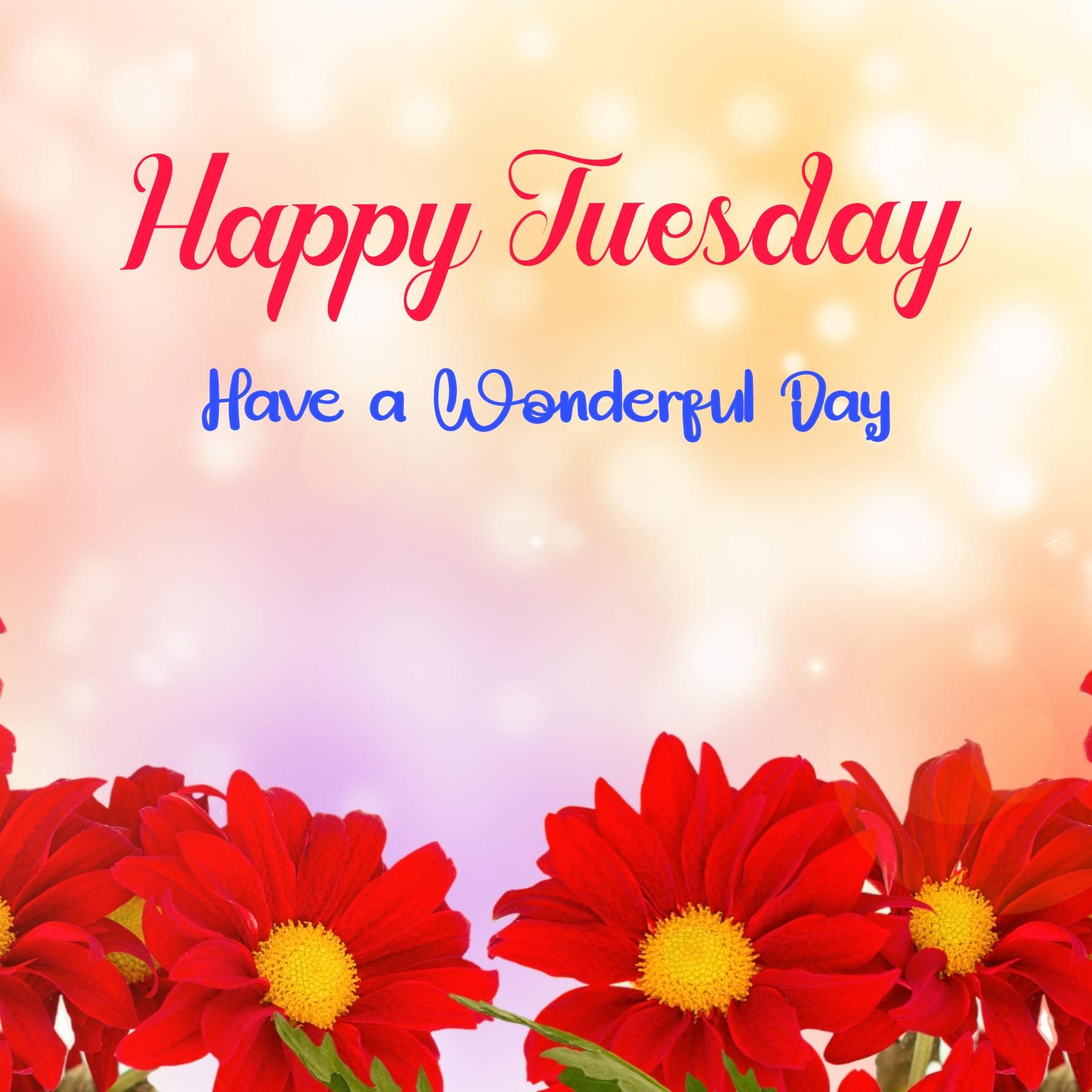 Happy Tuesday Have A Wonderful Day Images