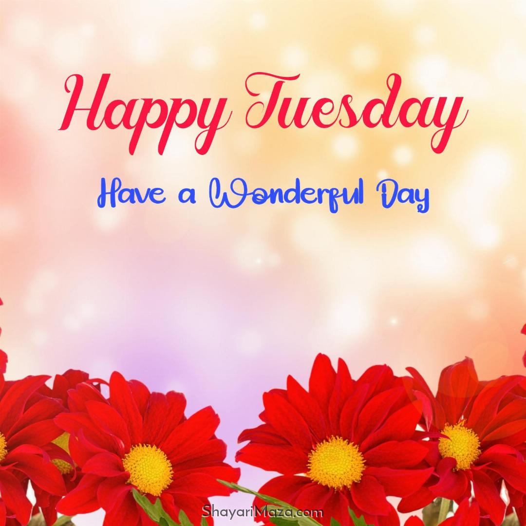 Happy Tuesday Have A Wonderful Day Images