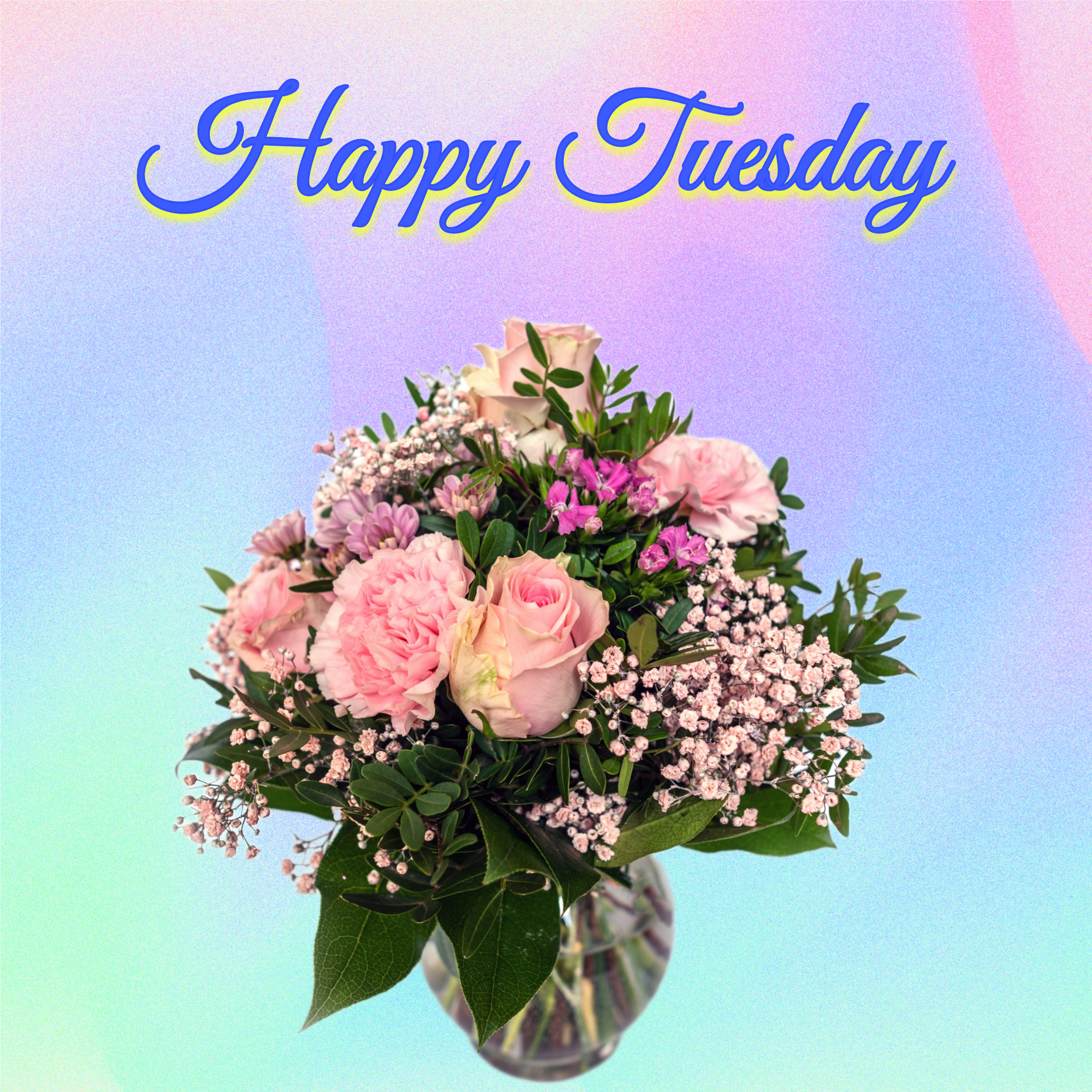 Happy Tuesday Images for Whatsapp