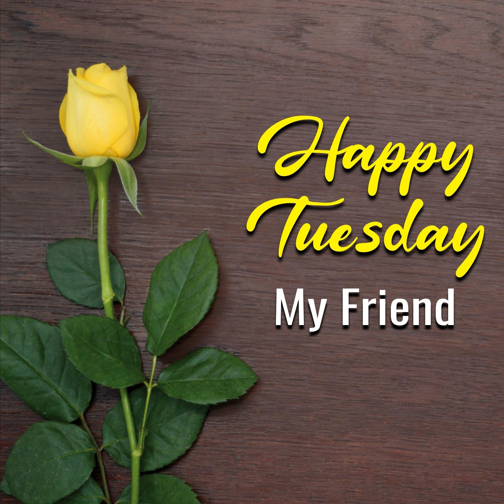 Happy Tuesday My Friend Images