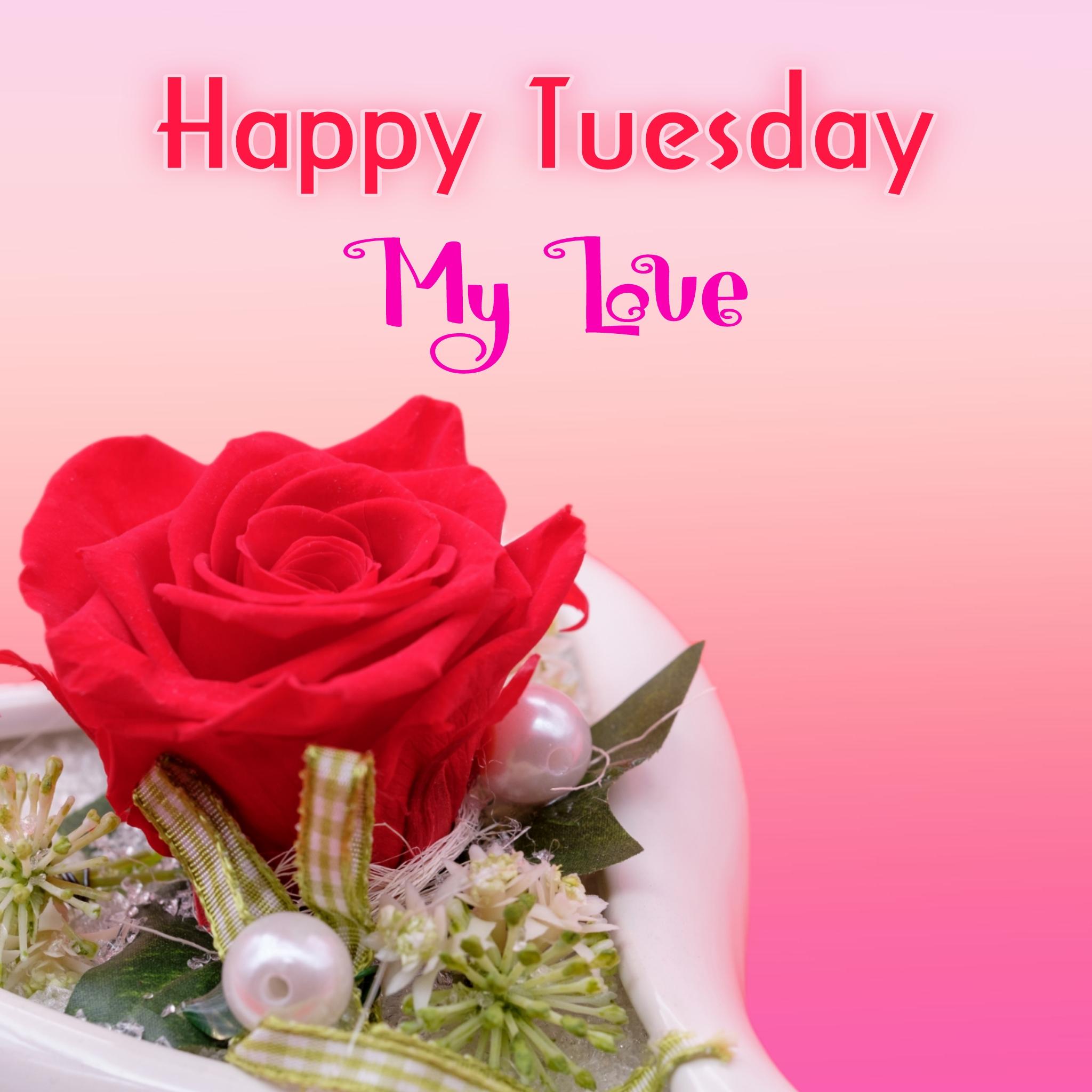 Happy Tuesday My Love Images for Husband