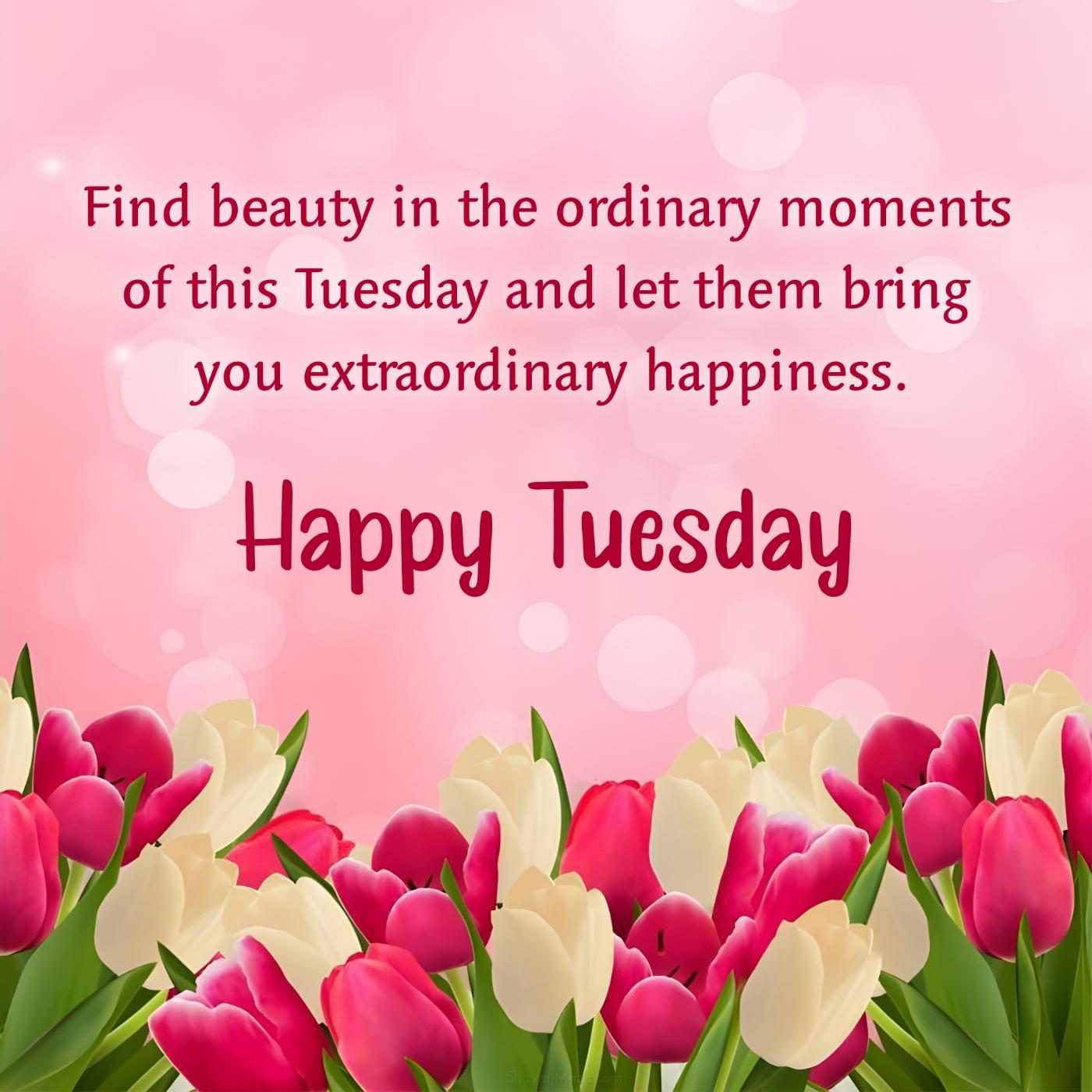 Find beauty in the ordinary moments of this Tuesday