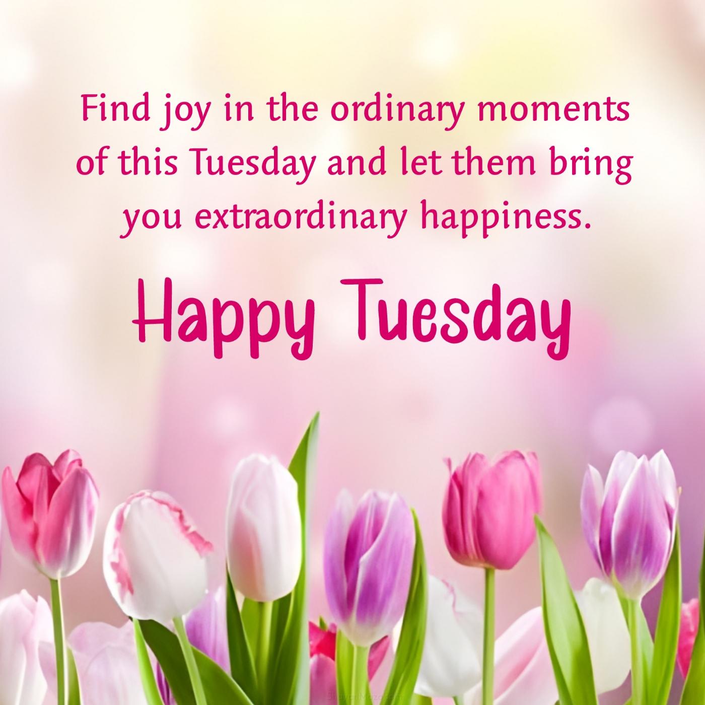 Find joy in the ordinary moments of this Tuesday