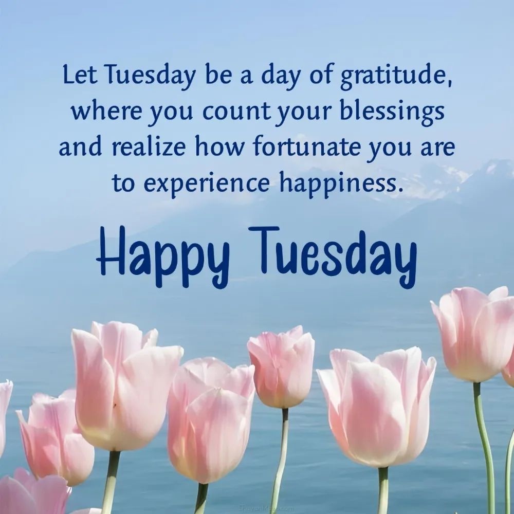 Let Tuesday be a day of gratitude where you count your blessings