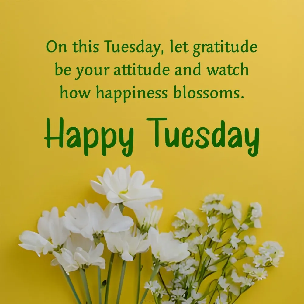 On this Tuesday let gratitude be your attitude