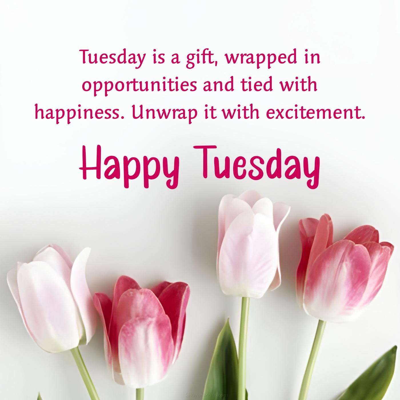 Tuesday is a gift wrapped in opportunities