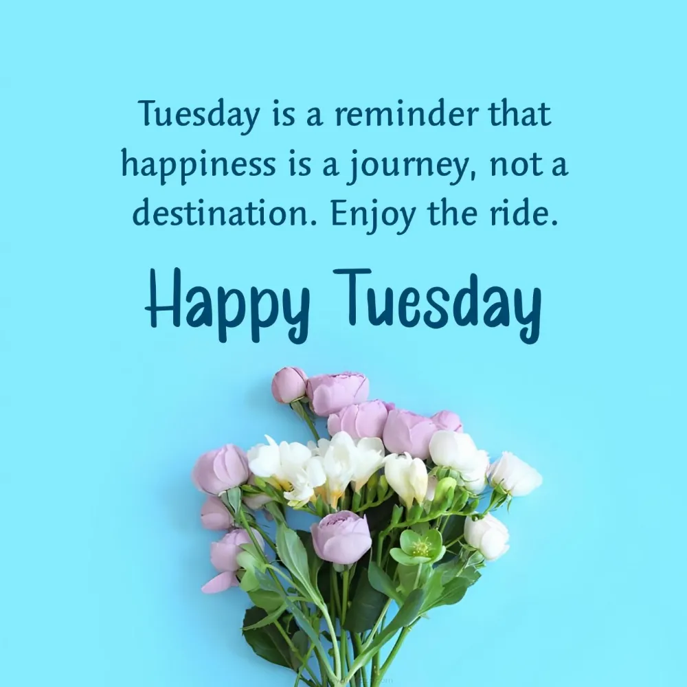 Tuesday is a reminder that happiness is a journey