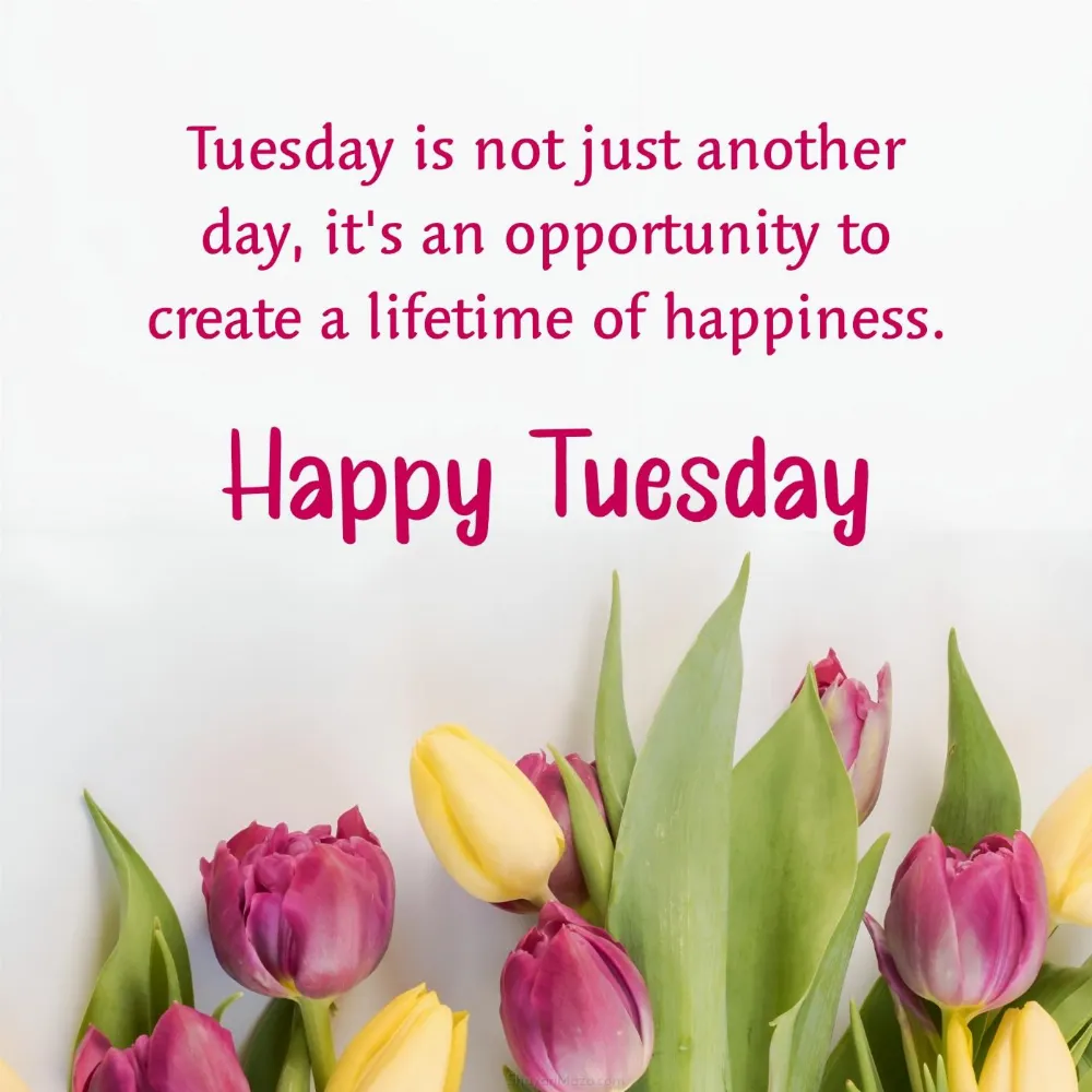 Tuesday is not just another day it's an opportunity