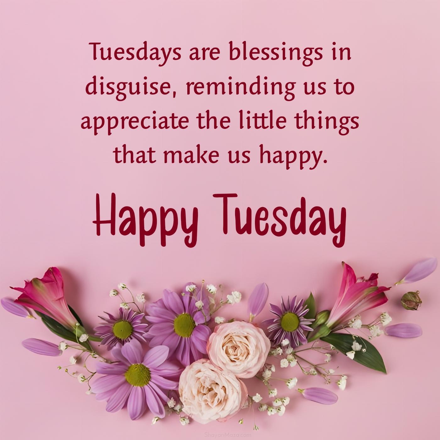 Tuesdays are blessings in disguise reminding us to appreciate
