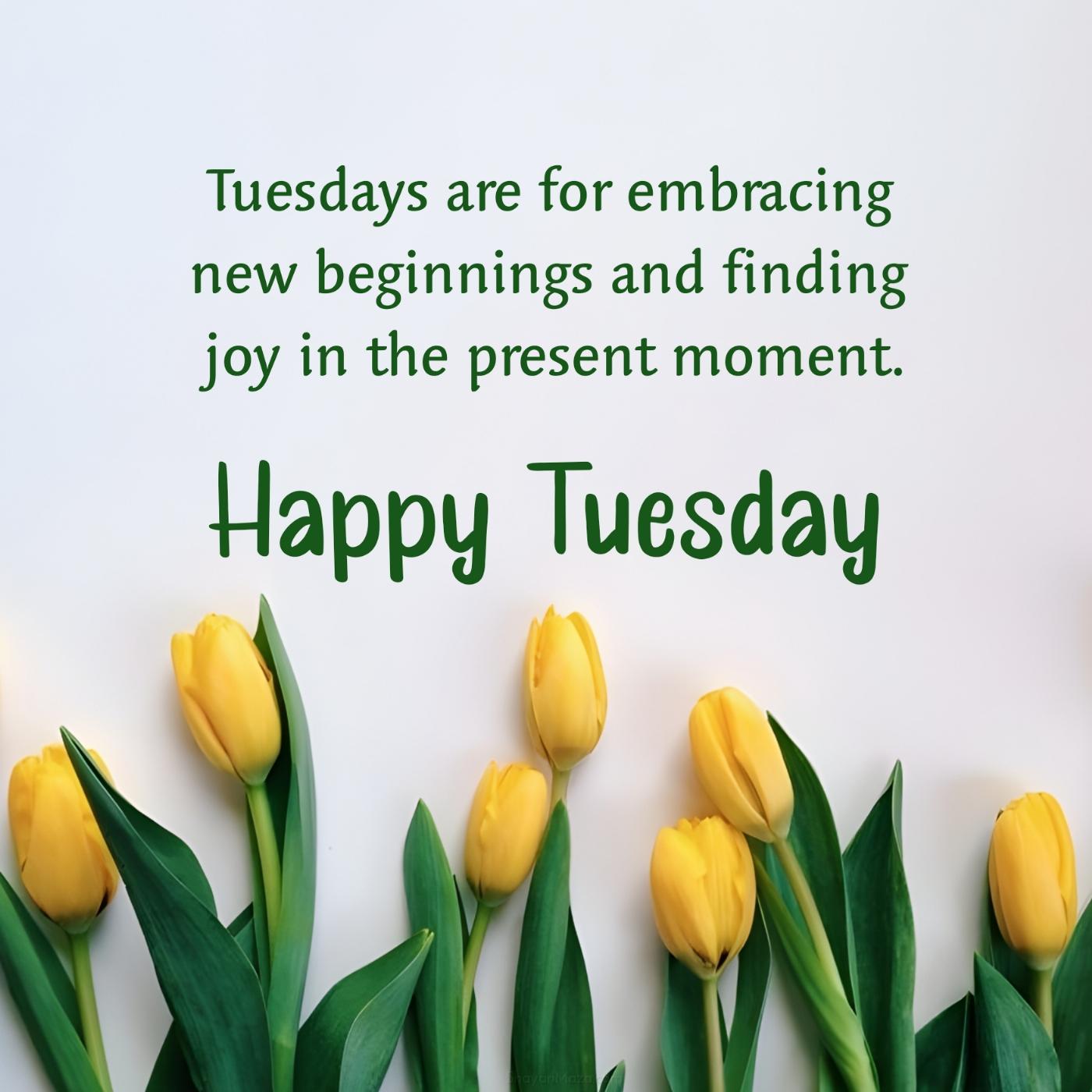 Tuesdays are for embracing new beginnings and finding joy