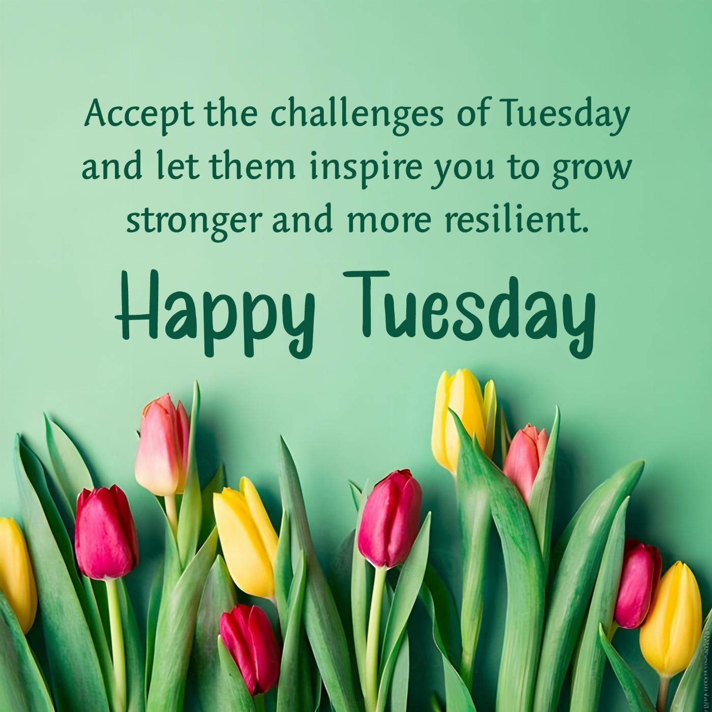 Accept the challenges of Tuesday and let them inspire you to grow