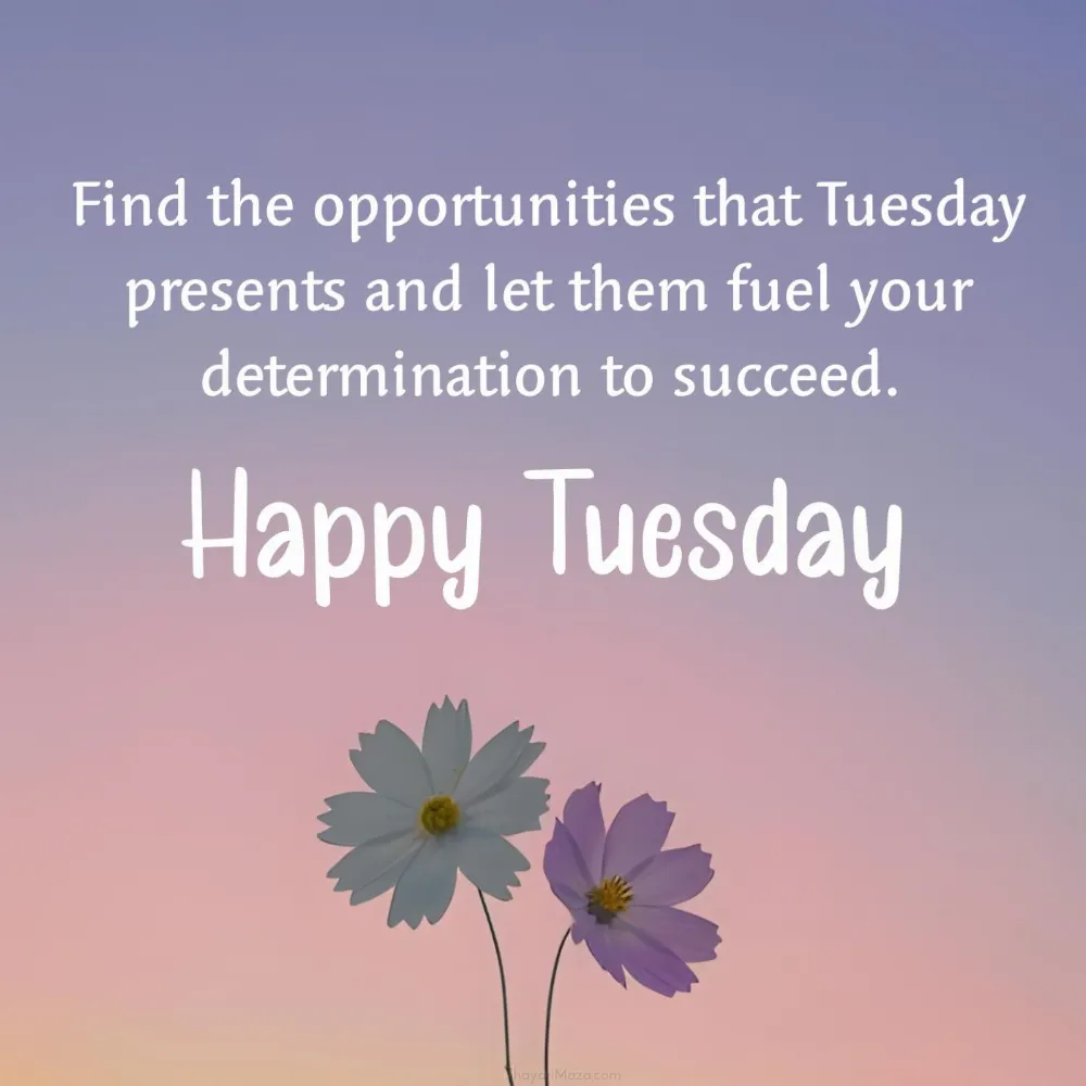 Find the opportunities that Tuesday presents and let them fuel your determination