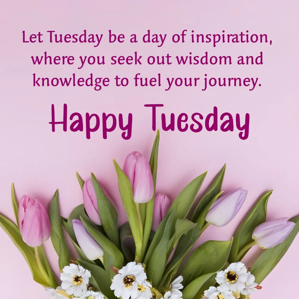 Let Tuesday be a day of inspiration where you seek out wisdom