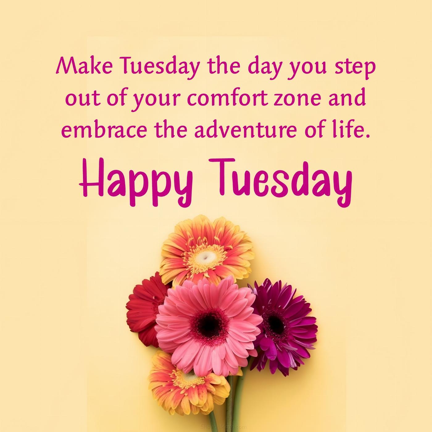 Make Tuesday the day you step out of your comfort zone