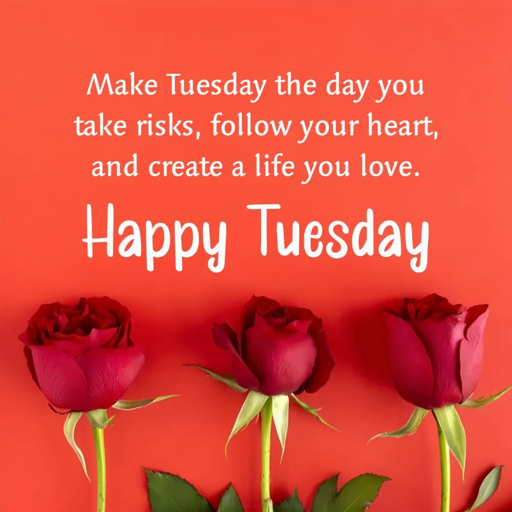 Make Tuesday the day you take risks follow your heart