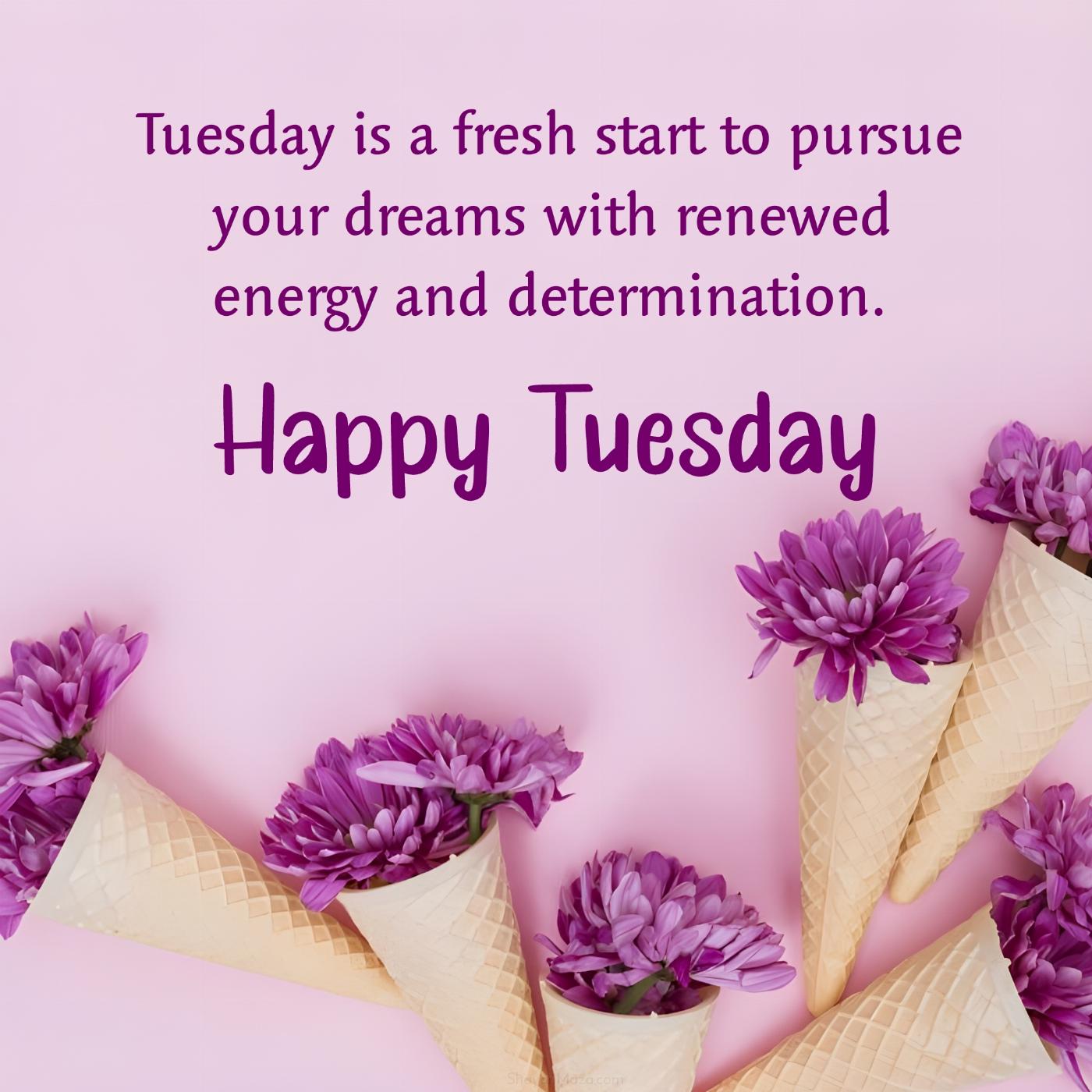 Tuesday is a fresh start to pursue your dreams with renewed energy