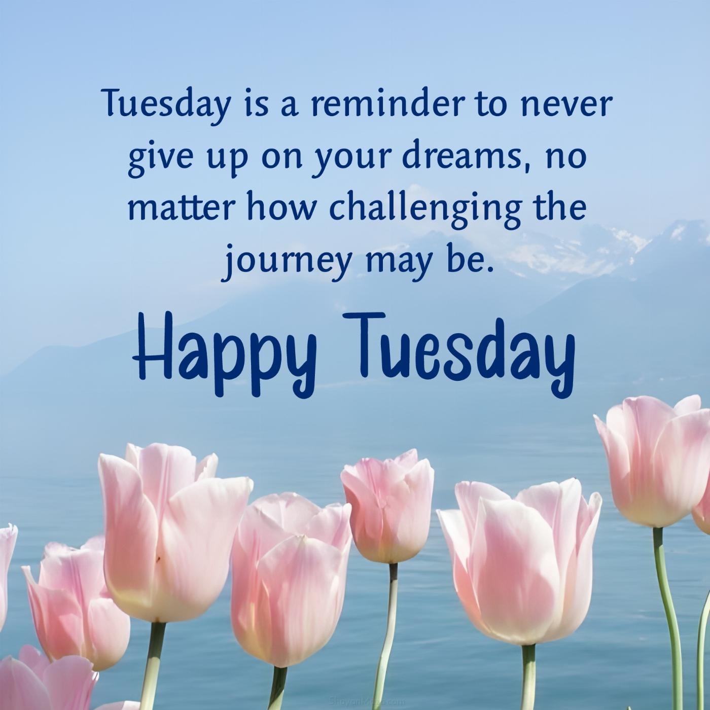Tuesday is a reminder to never give up on your dreams
