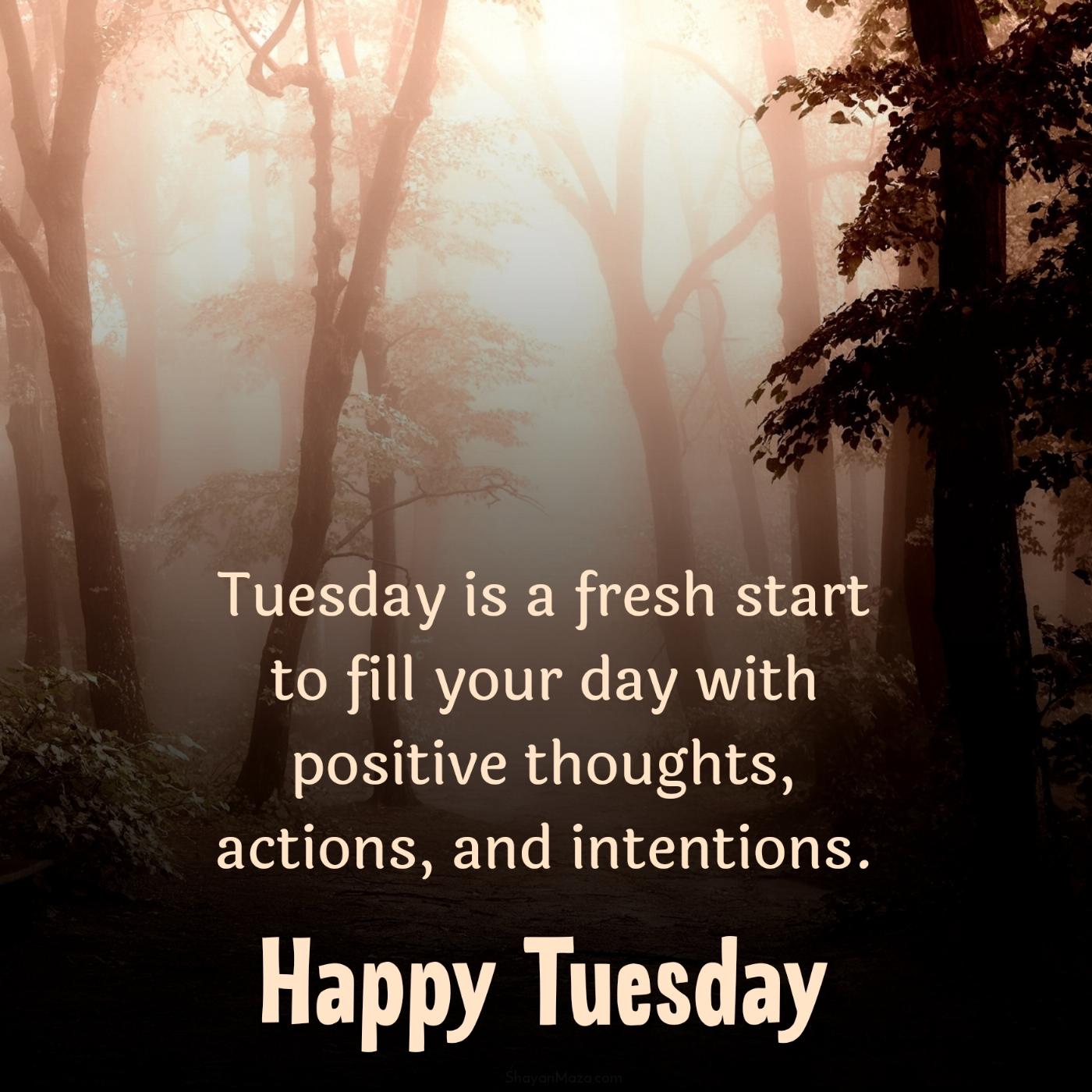 Tuesday is a fresh start to fill your day with positive thoughts