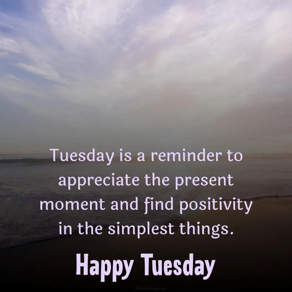 Tuesday is a reminder to appreciate the present moment