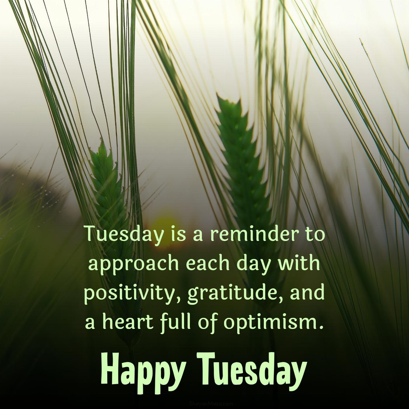 Tuesday is a reminder to approach each day with positivity