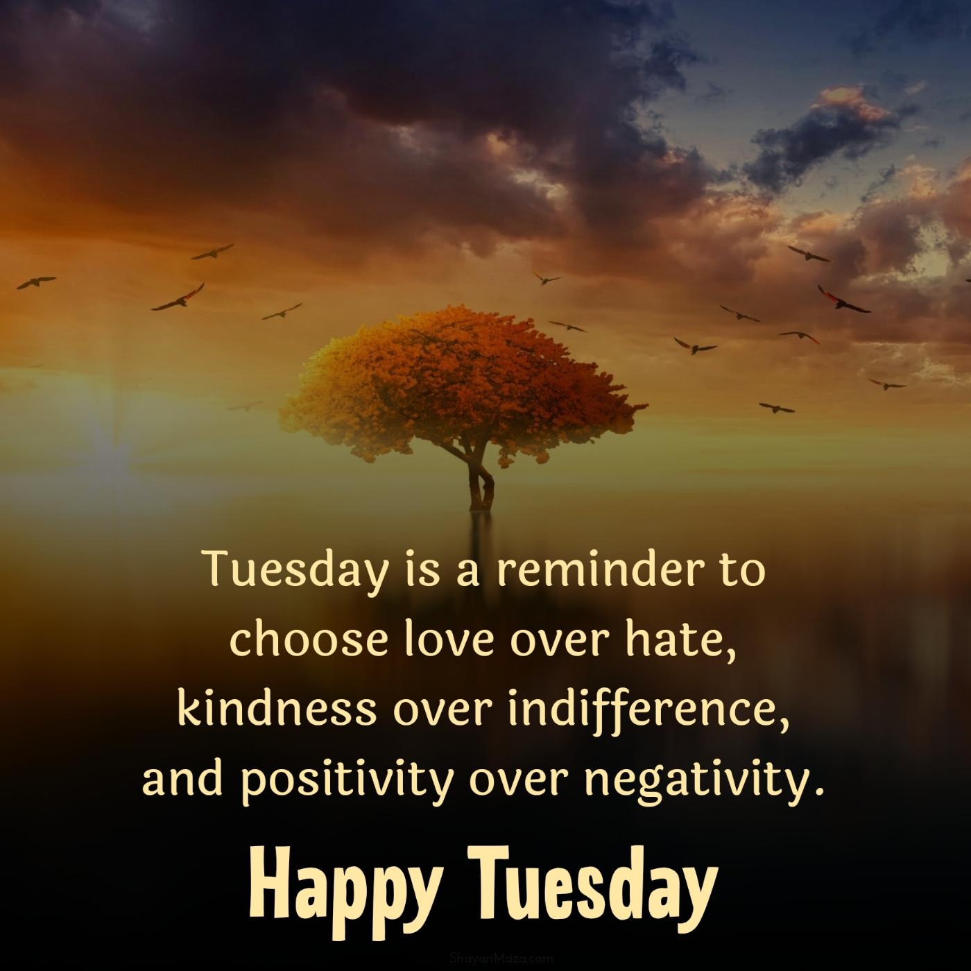Tuesday is a reminder to choose love over hate