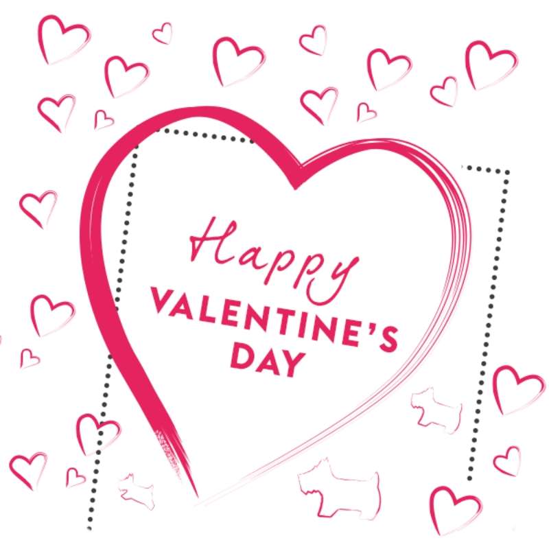 Happy Valentines Day Images HD Download