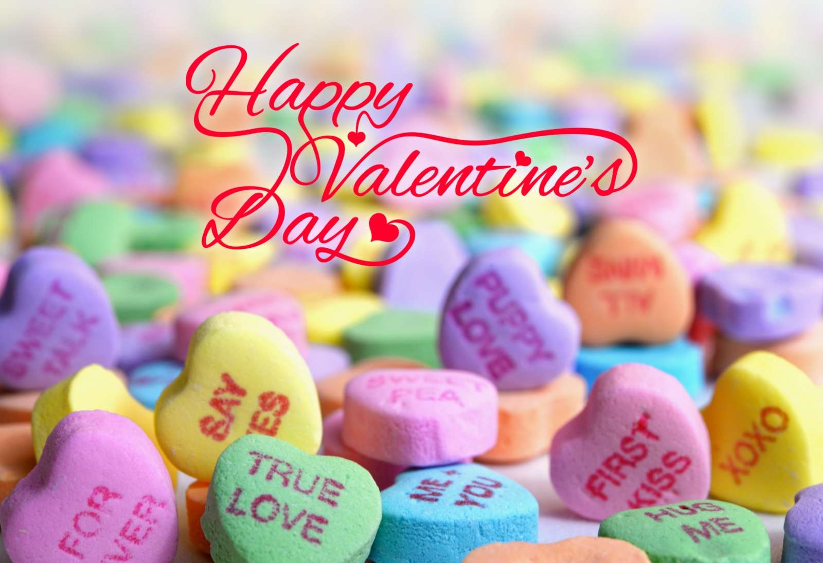 Happy Valentines Day Photo Download