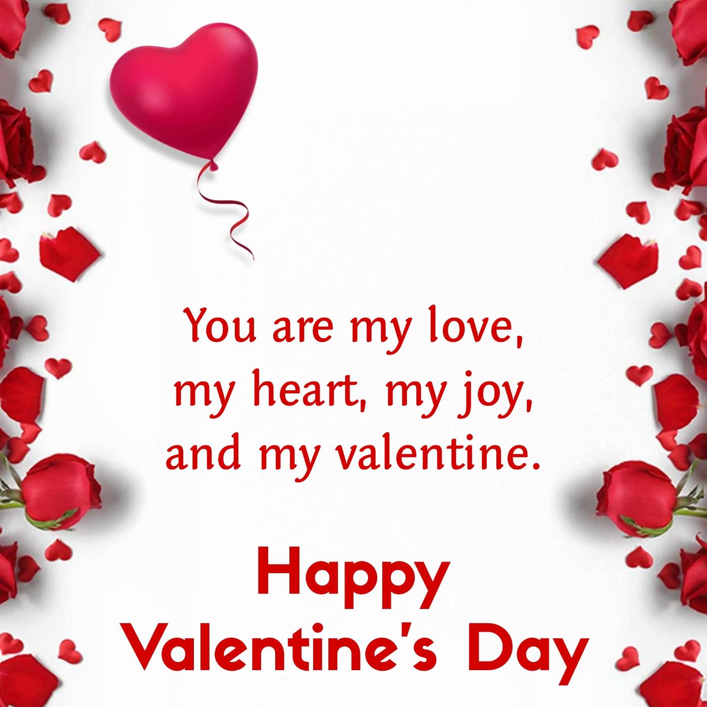 You are my love my heart my joy and my valentine