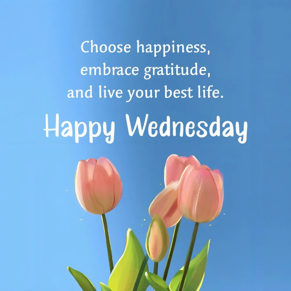 Happy Wednesday! Choose happiness embrace gratitude