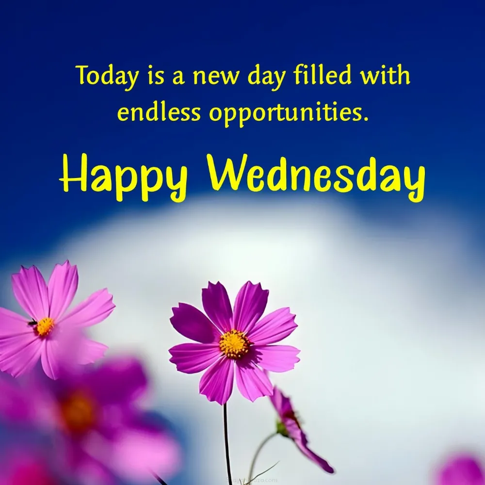Happy Wednesday! Today is a new day filled with