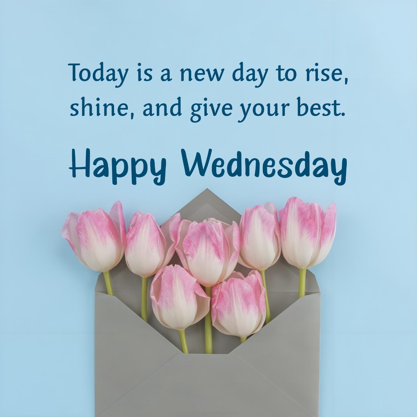 Happy Wednesday! Today is a new day to rise shine