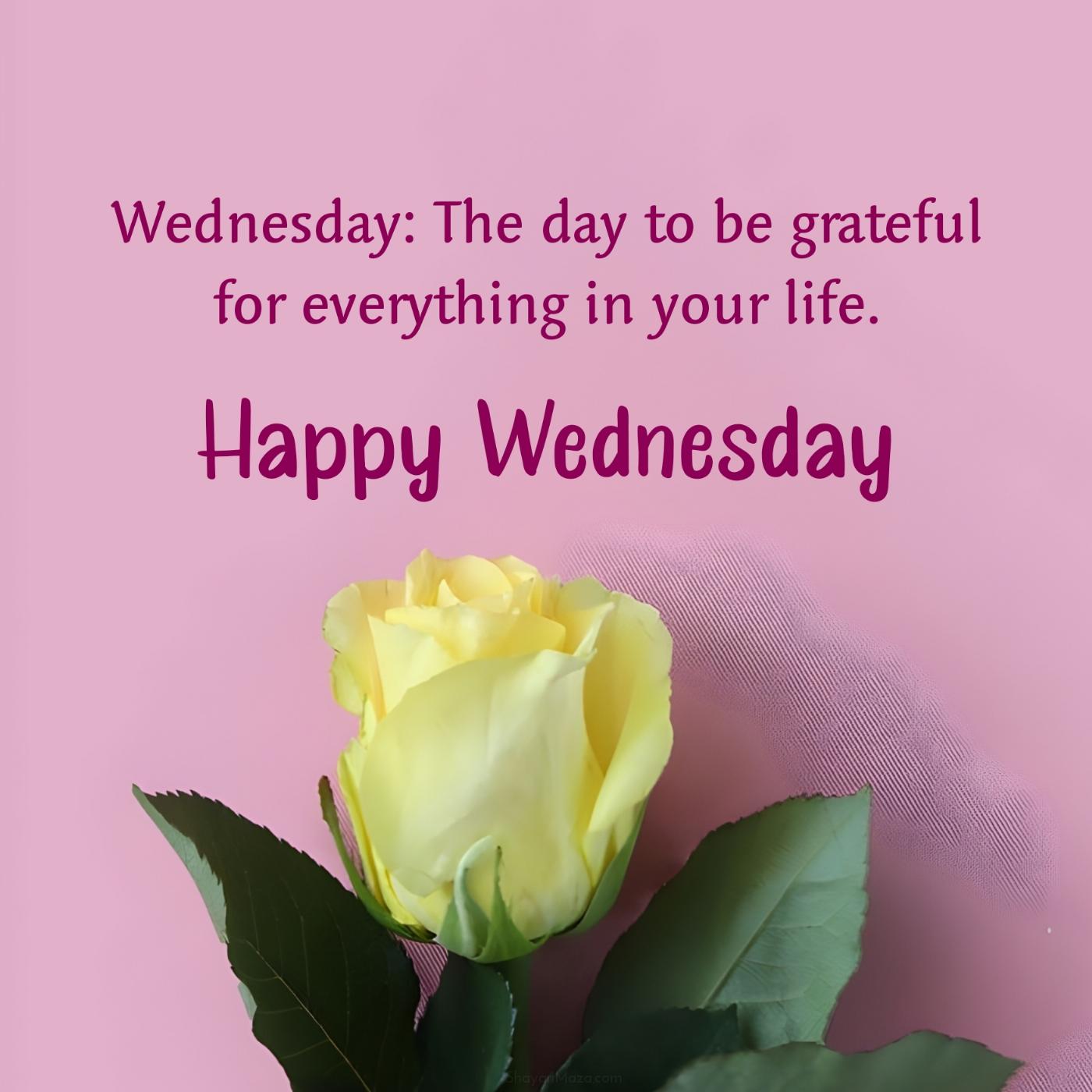 Wednesday: The day to be grateful for everything
